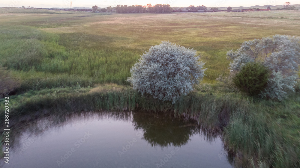 Nebraska wetland and livestock pond with moss and algae. Nebraska wetland and livestock pond with moss and algae.