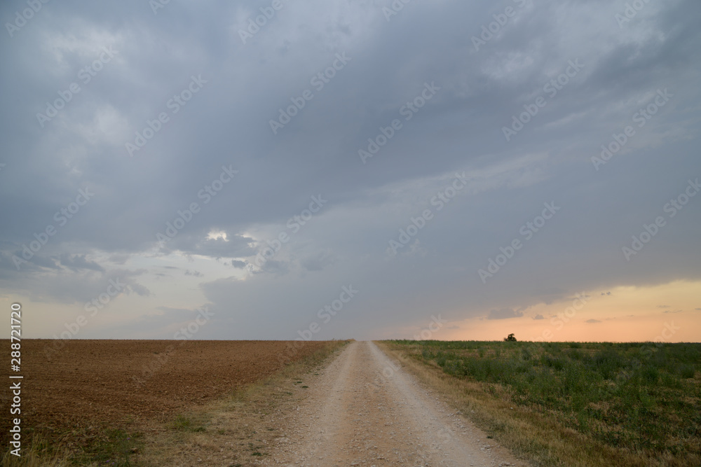 chemin d'été