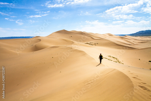 Woman walking in the mongolian desert sand dunes. Young woman walking golden sand on a bright summer day, Mongolia holliday vacation concept.