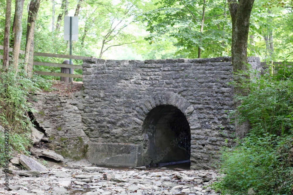 The old stone bridge in the forest on a summer day.
