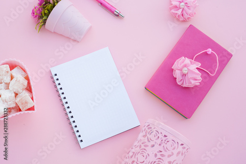Flat lay girly, pale pink items for planning, notepads, pens, office work or working at home on her laptop, on the pale pink background, with place for labels. Concept Desk.