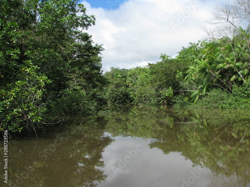 Boat ride at Una river  between amazon rain forest and atlantic forest