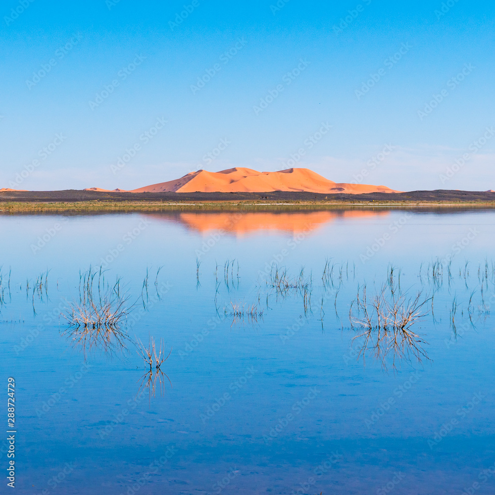 A sand dunes of Erg Chebbi and reflection on a lake. Landscape shot taken near town Merzouga, Sahara Desert, Morocco