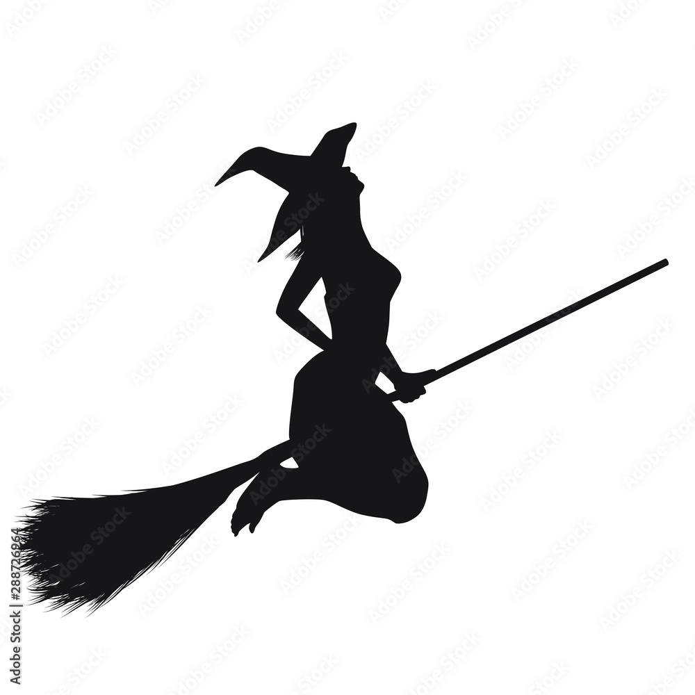 Fototapeta premium Witch Silhouette