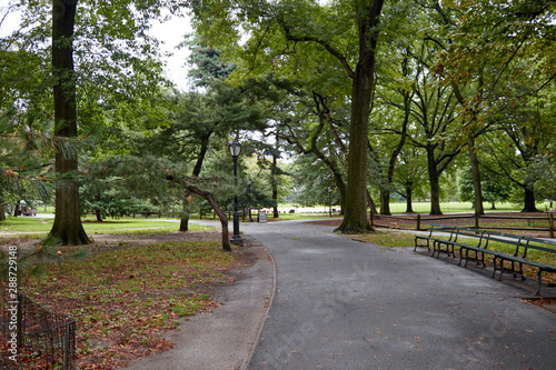 Empty street in a park