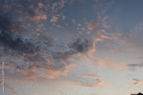 Beautiful pink sunset in summer city clouds romantic