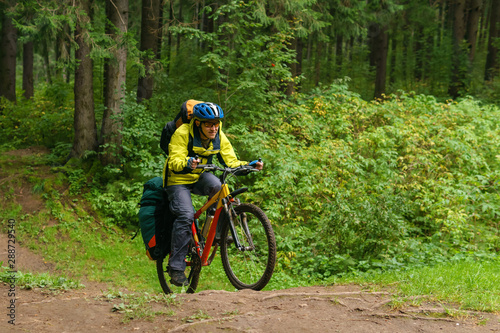 bicycle hiker crosses a ravine in a spruce forest