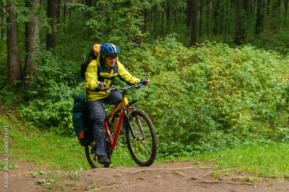 cyclist crosses a ravine in a spruce forest cyclist crosses a ravine in a spruce forest