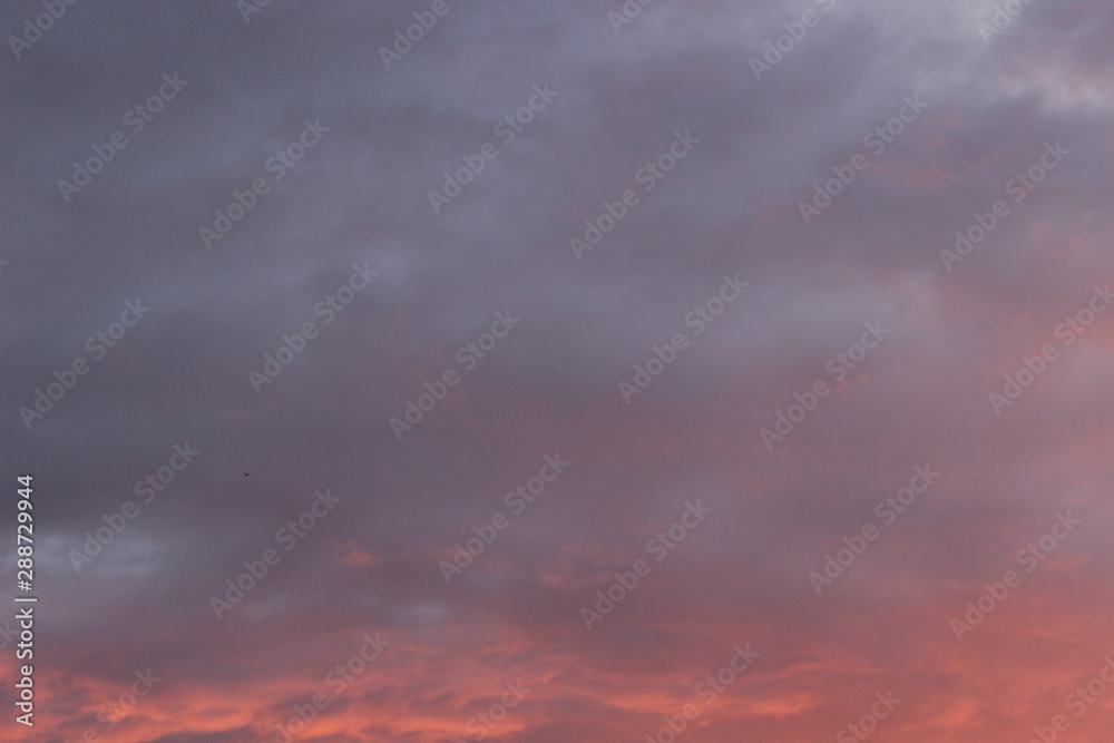 Beautiful pink sunset in summer city clouds romantic