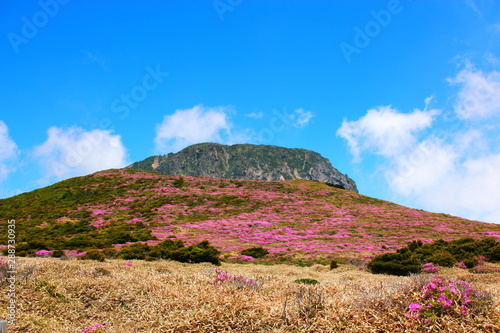 제주에 있는 한라산의  풍경이다. photo