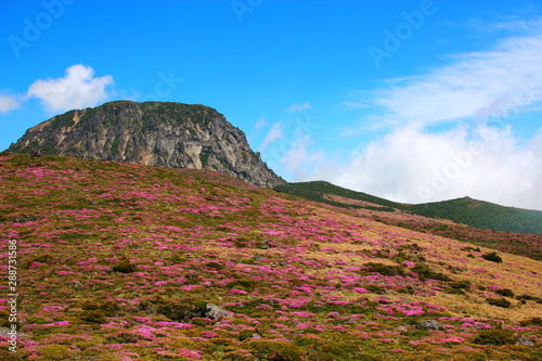 제주에 있는 한라산의  풍경이다. photo