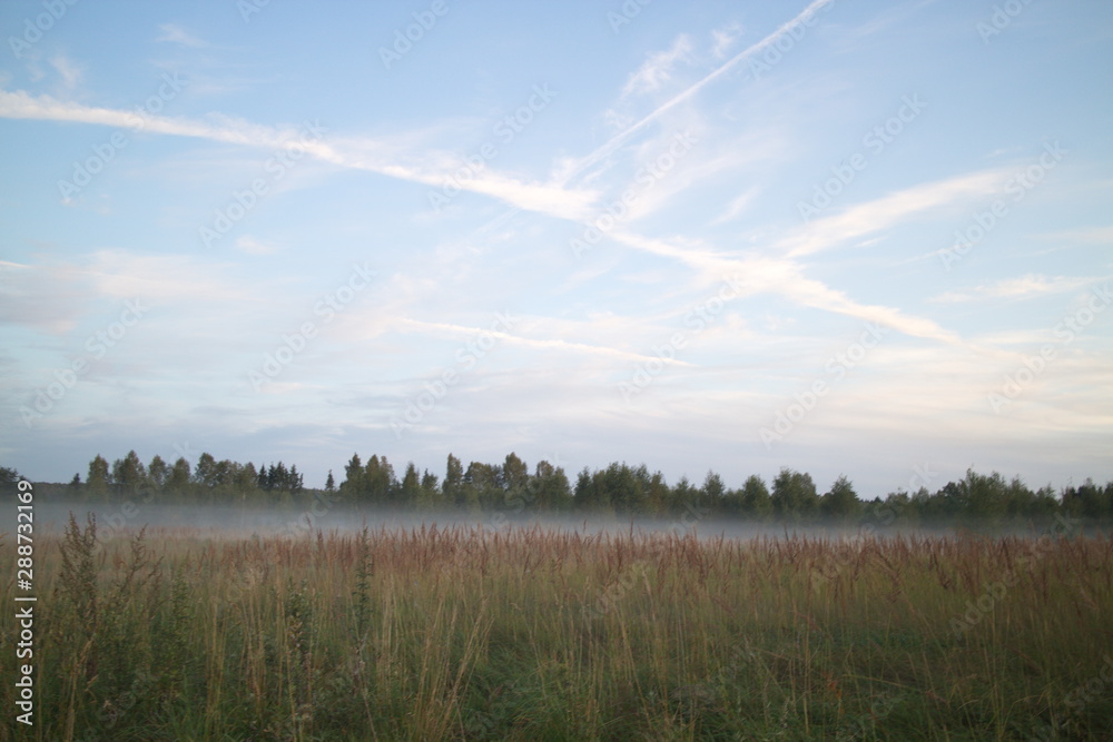 Fog in the field after sunset on a summer evening