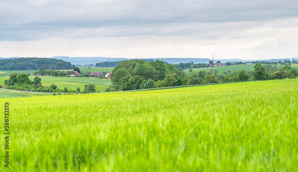 Fototapeta premium rural scenery in Hohenlohe