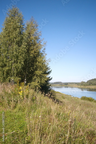 by the river on a clear summer day