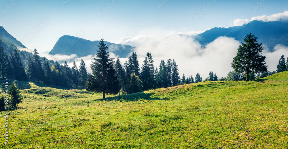 Colorful summer panorama of Triglav national park, Bohinj lake location. Foggy morning view of Julian Alps, Slovenia, Europe. Beauty of nature concept background. Orton Effect.