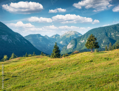 Sunny summer scene of in Triglav national park. Amazing morning view of Julian Alps, Bohinj lake lokation, Slovenia, Europe. Beauty of nature concept background. Orton Effect.