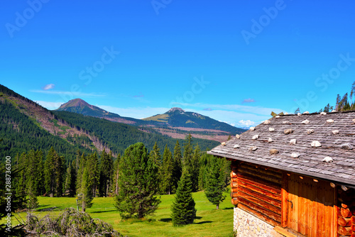 panorama in obereggen alto adige Italy photo