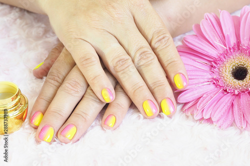 Female hands do manicure. Jars of cream, a nail file, gerbera with water drops on a light pink plush background..