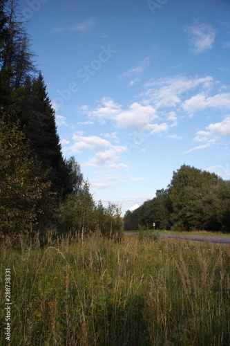 village road along the river bank on a summer day