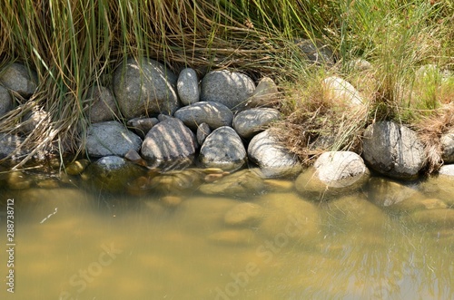 Stones at park pond