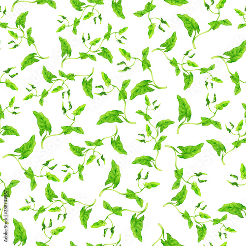 Seamless pattern with wild summer green leaves on white background. Hand drawn watercolor illustration.