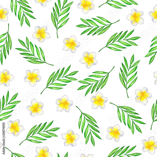 Seamless pattern with white plumeria flowers and green palm leaves on white background. hand drawn watercolor illustration.