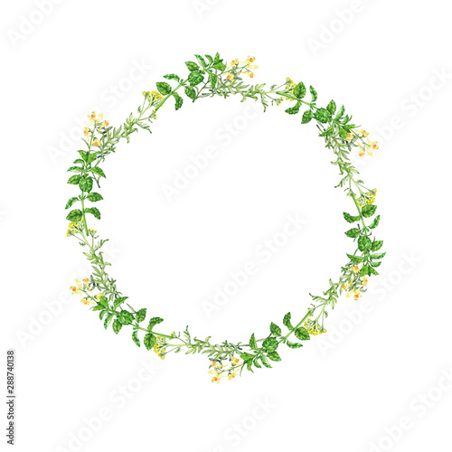 Decorative summer floral frame isolated on white background. Hand drawn watercolor illustration.