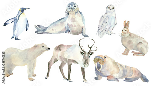 Set of animals of the North