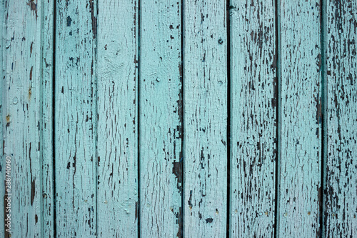 mint wood background. Scratched turquoise paint on a wooden plank wall. Background, texture