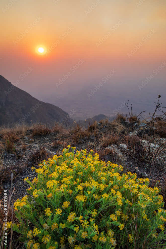 Fototapeta premium Zomba Plateau (massif) - Malawi