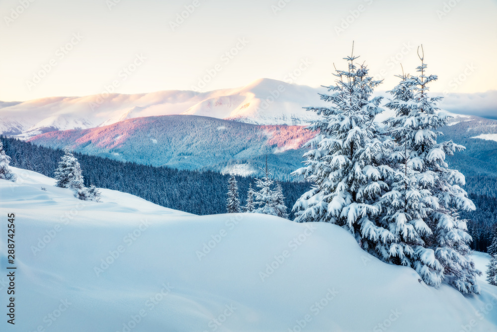 Frosty winter sunrise in Carpathian mountains with Hoverla peak on backgroud, Ukraine, Europe. Early morning scene of mountain valley, Happy New Year celebration concept. Orton Effect.