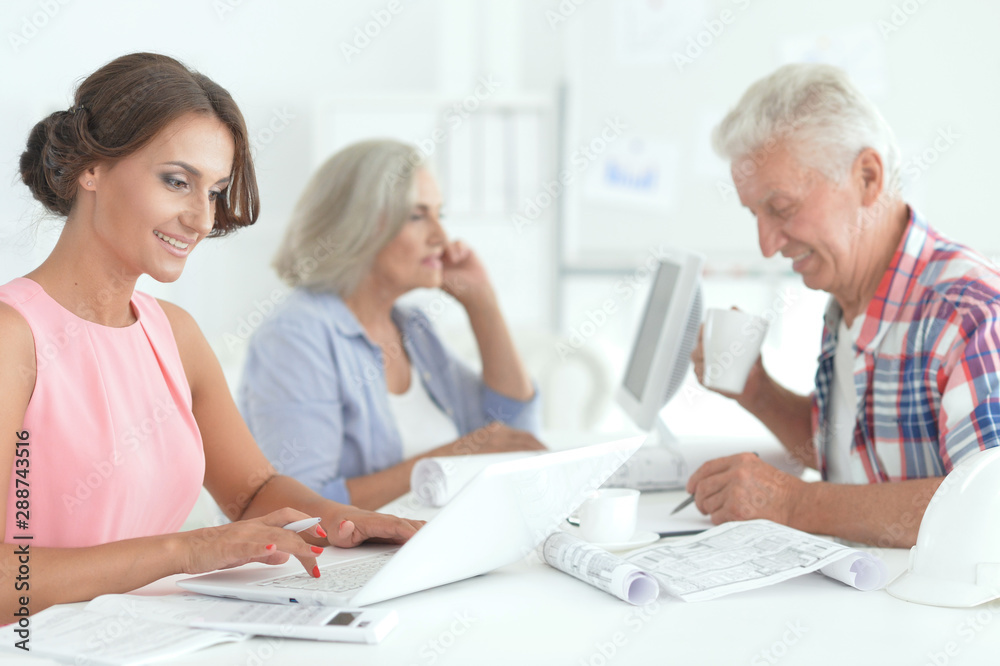 Portrait of successful senior businesspeople working together in modern office