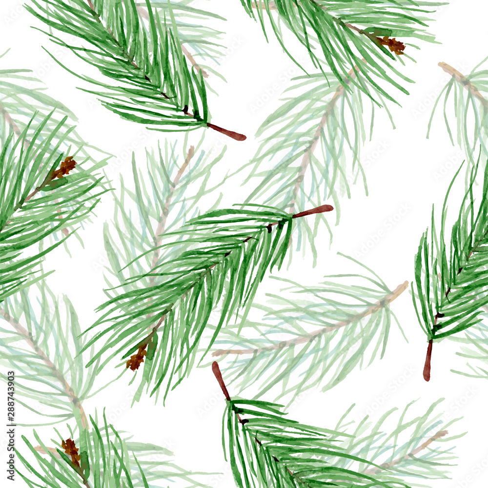 Simple watercolor winter pattern of green fir branches on a white background. Christmas hand drawn endless backdrop.