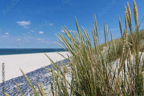 Strand am Ellenbogen