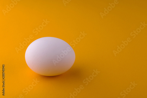 White chicken egg on an orange background