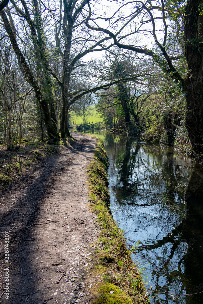 Towpath beside the old Tavistock Canal which was constructed in the early 19th century to link the town of Tavistock with Morwhellam Quay on the river Tamar.