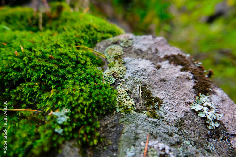 Nature of the Urals in Russia in early Autumn Nature of the Urals in Russia in early Autumn