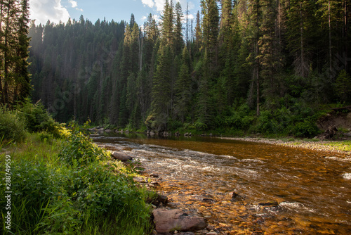 Small mountain river in the forest.