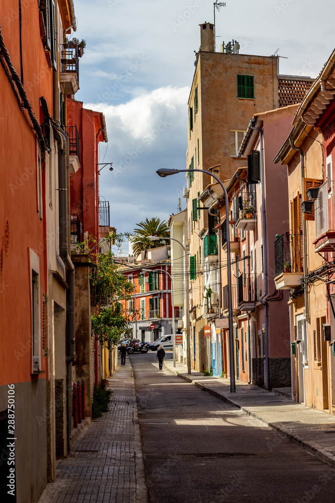 Narrow street in the old town, historic center of Palma on balearic island Mallorca, Spain on a sunny day