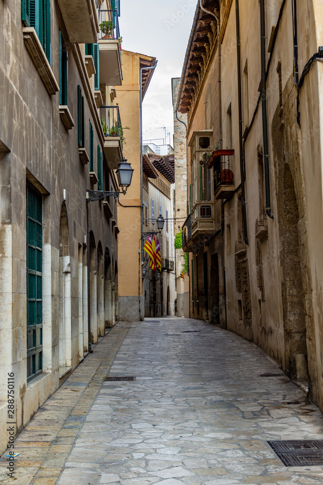 Narrow street in the old town, historic center of Palma on balearic island Mallorca, Spain on a sunny day