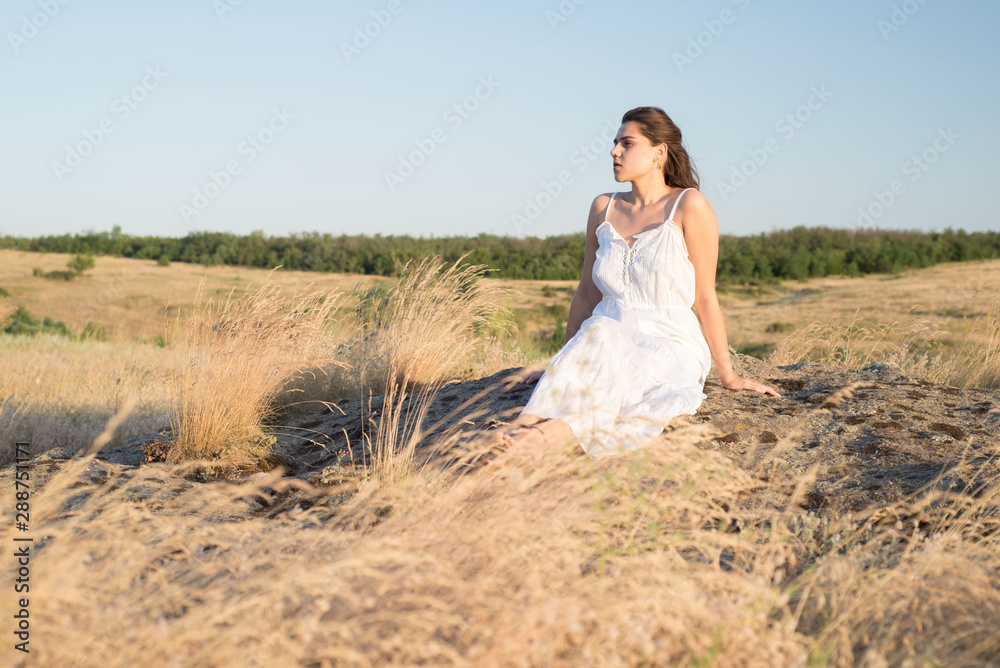 Portrait of a beautiful young girl, in a white dress, sitting in a field, in the grass. Country landscape. Concept of innocence Portrait of a beautiful young girl, in a white dress, sitting in a field, in the grass. Country landscape. Concept of innocence