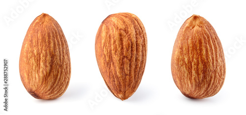 Almond isolated. Almonds on white background. Almond set. Full depth of field.. photo