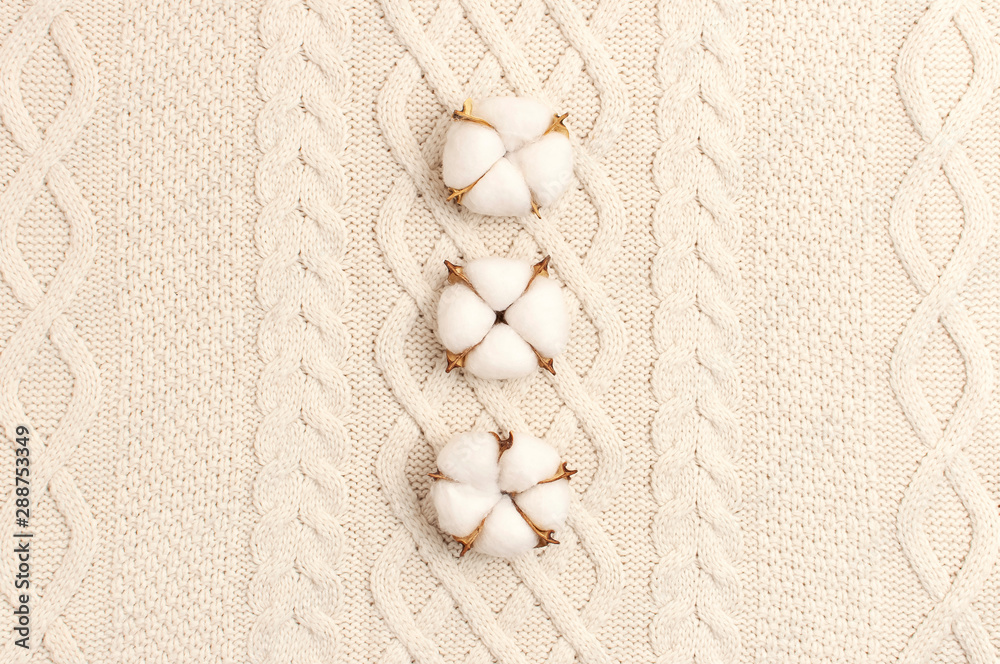 Flat lay autumn composition. Cotton flowers on a background of knitted beige woolen sweater or plaid top view copy space. Autumn, fall concept. Cozy lifestyle details Flat lay autumn composition. Cotton flowers on a background of knitted beige woolen sweater or plaid top view copy space. Autumn, fall concept. Cozy lifestyle details