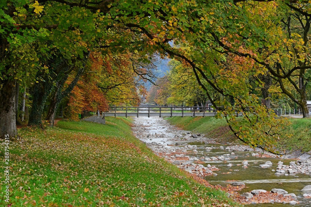 Naklejka premium autumn in the park