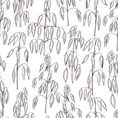 Hand drawn oats plant. Vector seamless pattern.