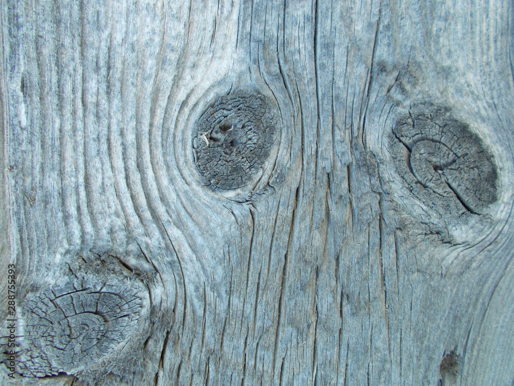 Wood texture for your design Wood texture for your design