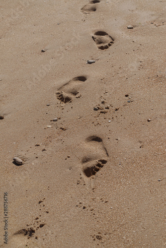 footprint in the sand, imprint