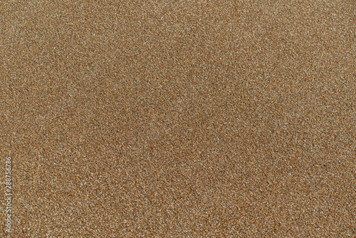 sand texture close up, coast
