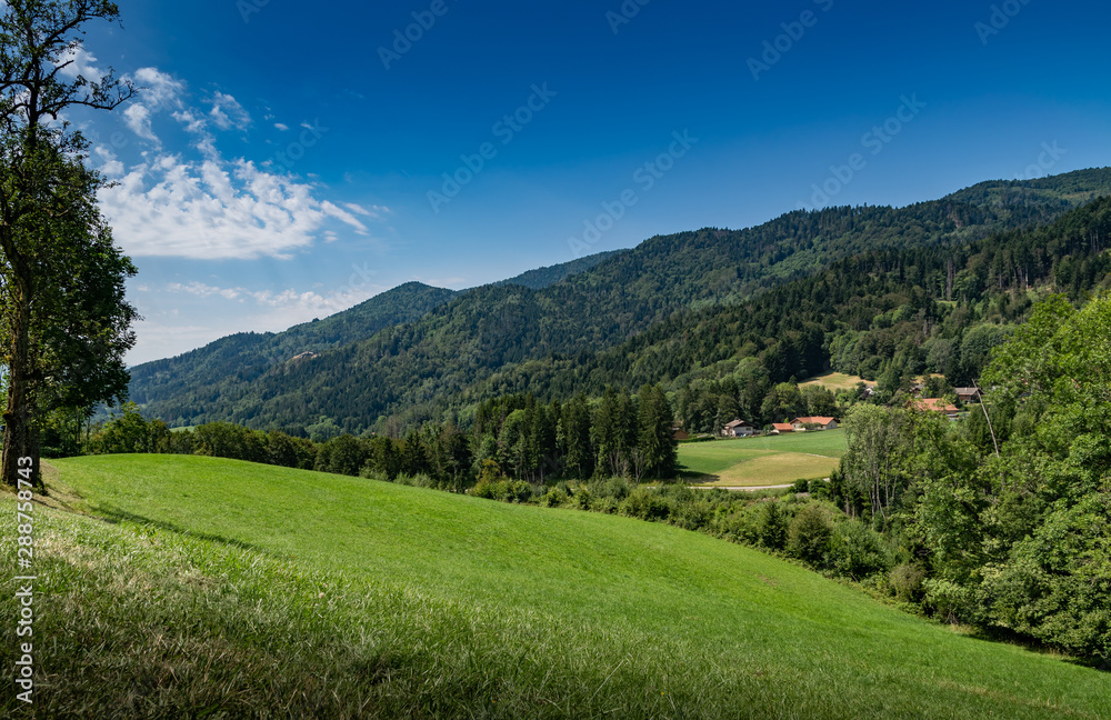 Nature and landscape concept: mountain hill landscape overgrown with forests and country houses with blue sky,focus area on country houses.Haute-Savoie in France.