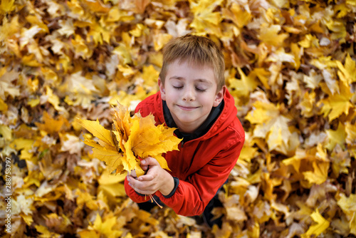 Cute boy with closed eyes and a bouquet of autumn leaves looks up. Top view. Autumn concept